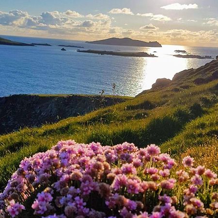 The Plough B&B Ventry Eksteriør billede