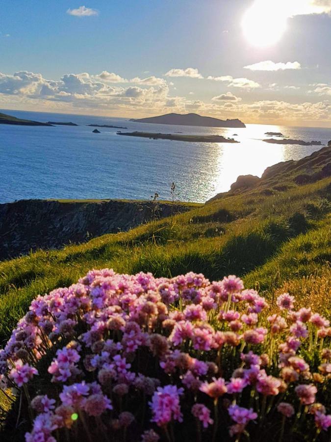 The Plough B&B Ventry Eksteriør billede