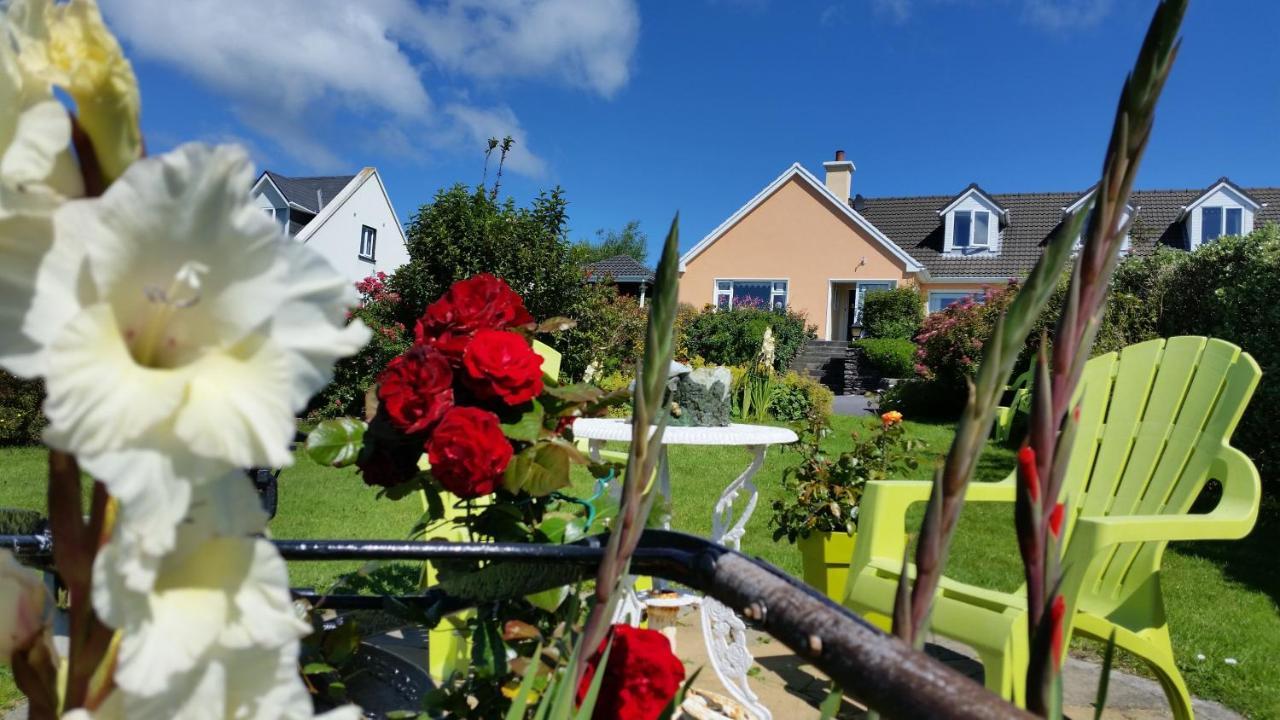 The Plough B&B Ventry Eksteriør billede