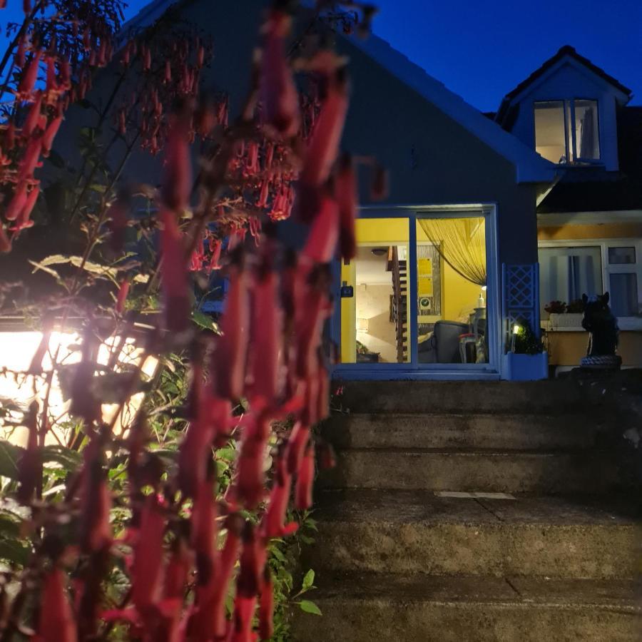 The Plough B&B Ventry Eksteriør billede