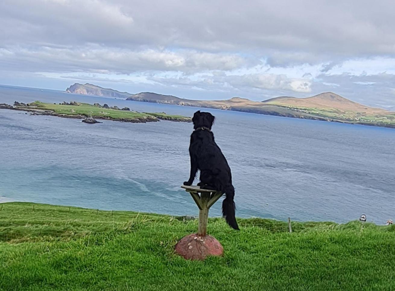 The Plough B&B Ventry Eksteriør billede