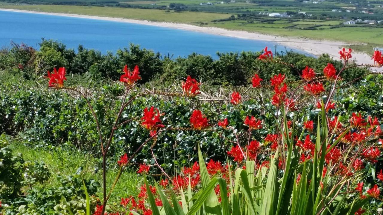 The Plough B&B Ventry Eksteriør billede