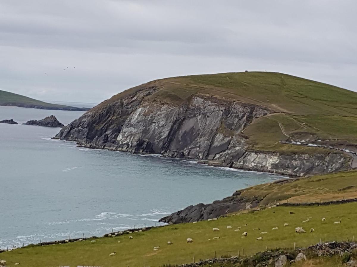 The Plough B&B Ventry Eksteriør billede